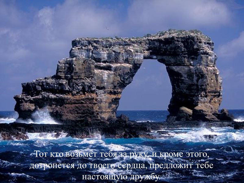 Тот кто возьмёт тебя за руку, и кроме этого, дотронется до твоего сердца, предложит